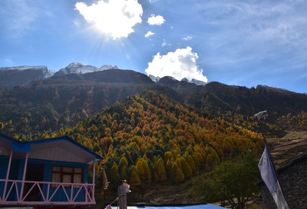 Standard Lodge Nepal